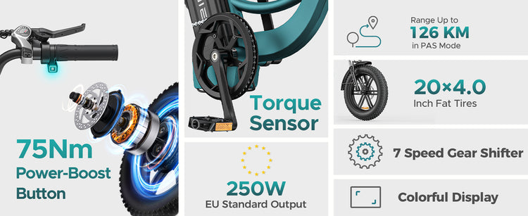 Engwe L20 Boost E-Bike