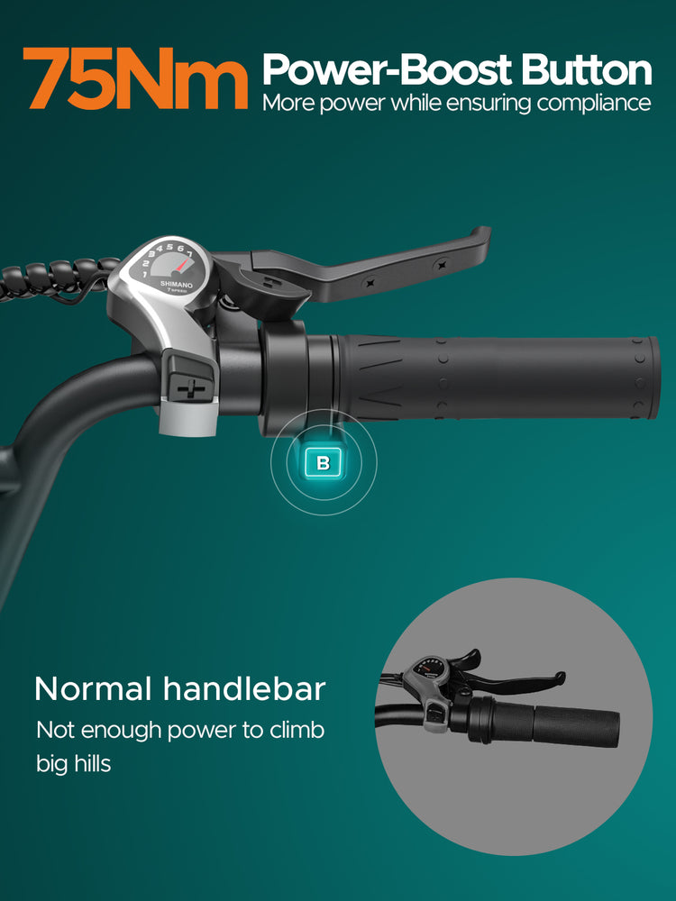 Engwe L20 Boost E-Bike