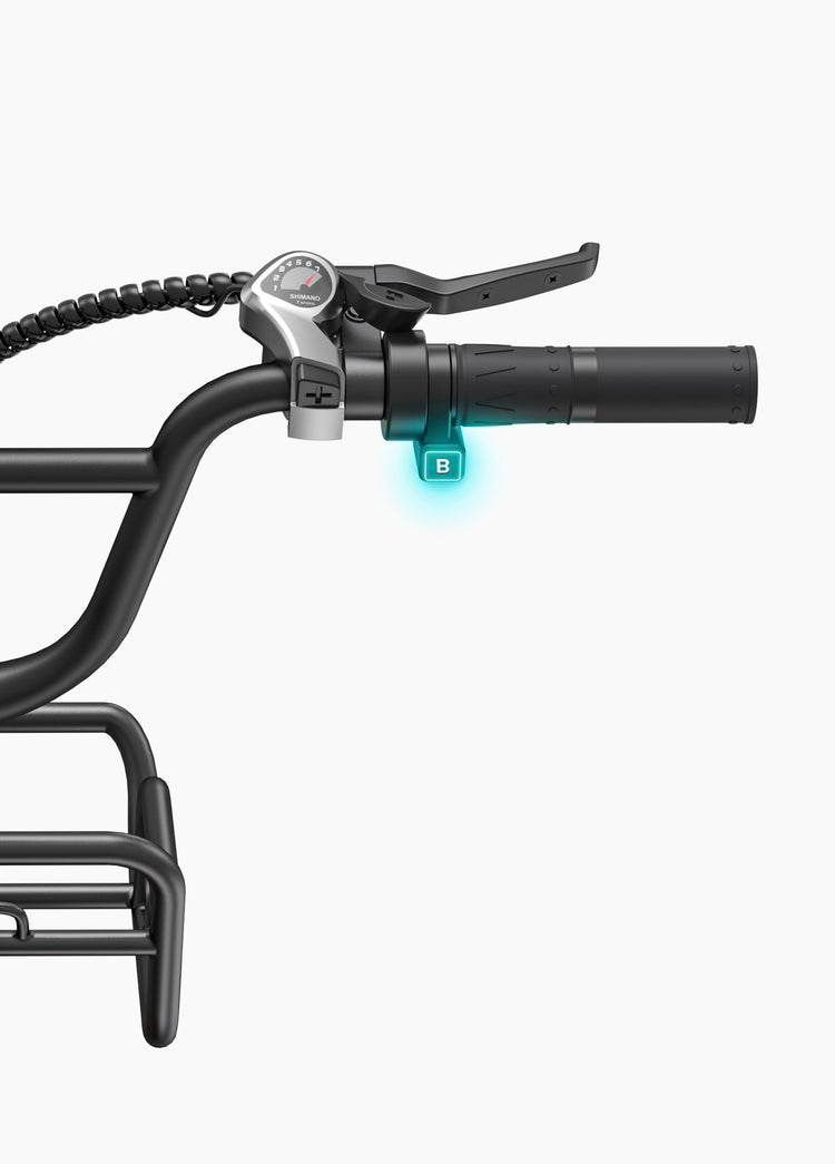 Engwe L20 Boost E-Bike