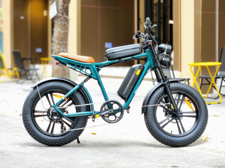 Engwe M20 Electric Bike