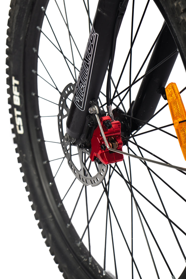 Chamrider DM427 Electric Bike