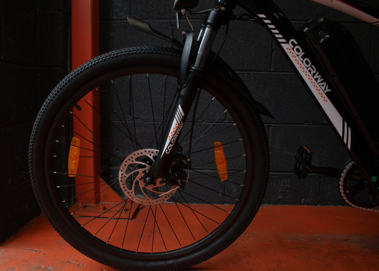 Electric bike for joint-friendly exercise