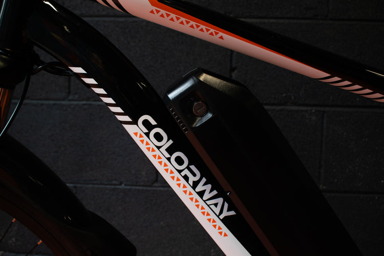 Eco-friendly electric bike for daily commute