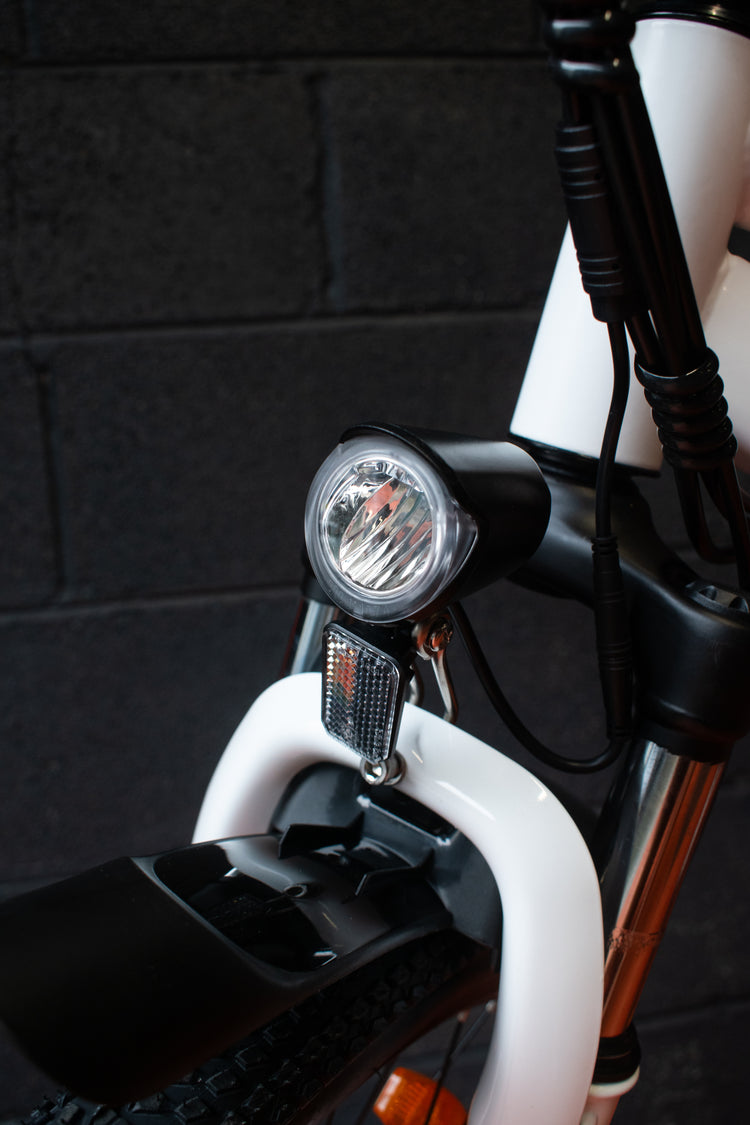Fat tire electric bike for all terrains
