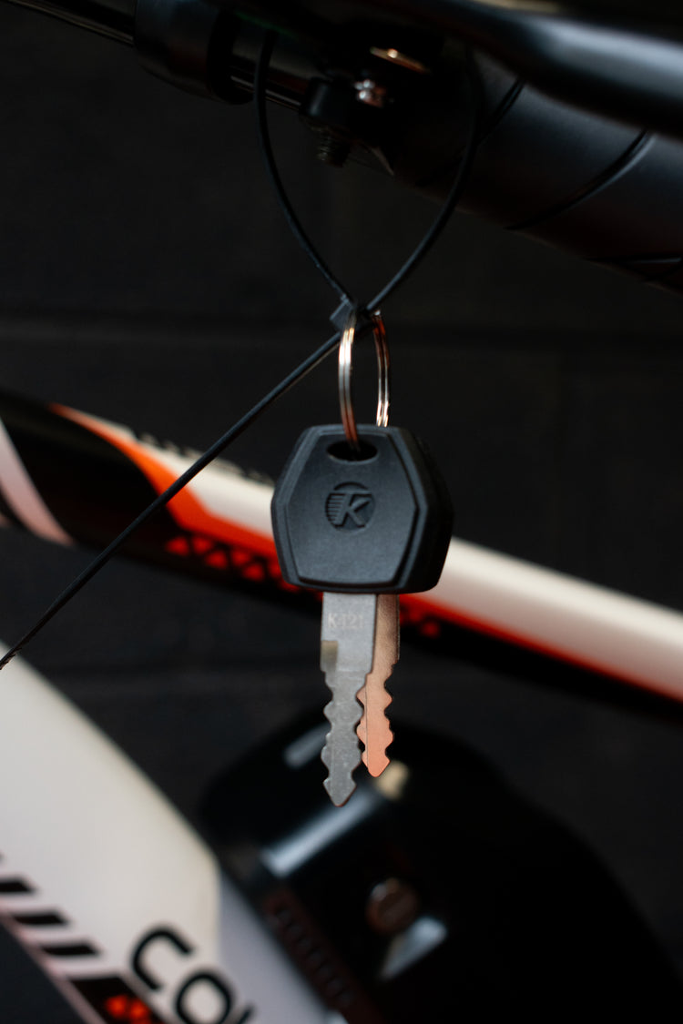 Carbon steel electric bike for adults