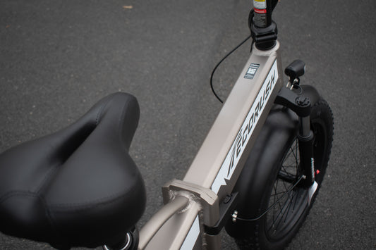 Side view of Ecorush 10S e-bike showing aluminium frame and fat tires