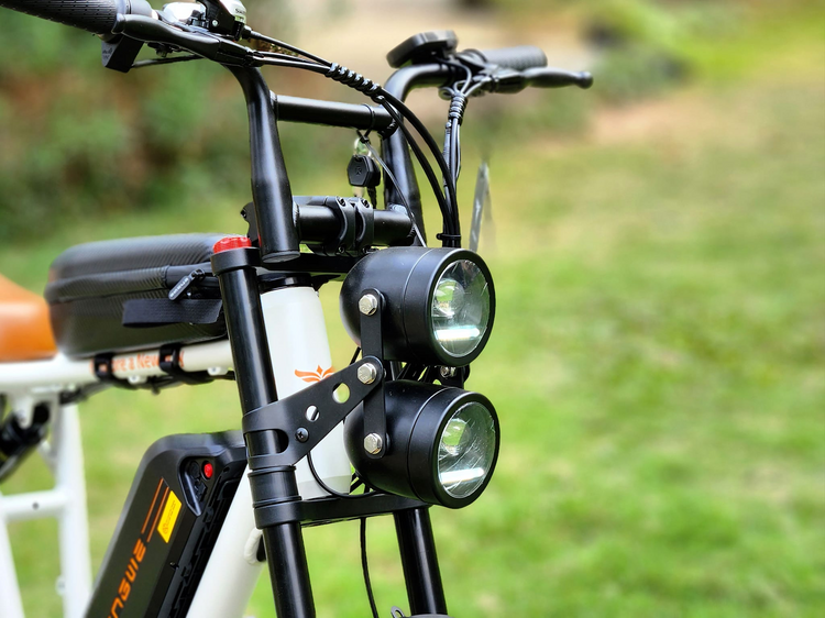 Engwe M20 Electric Bike