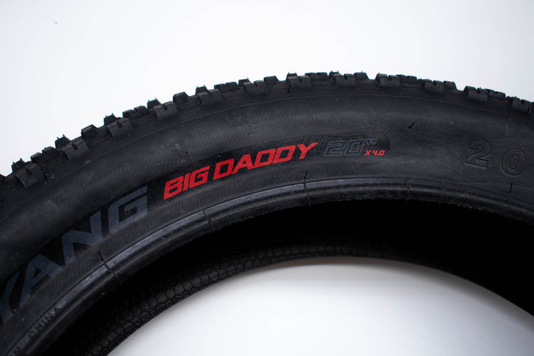 Electric Bike Chaoyang Big Daddy 20x4 Tyre