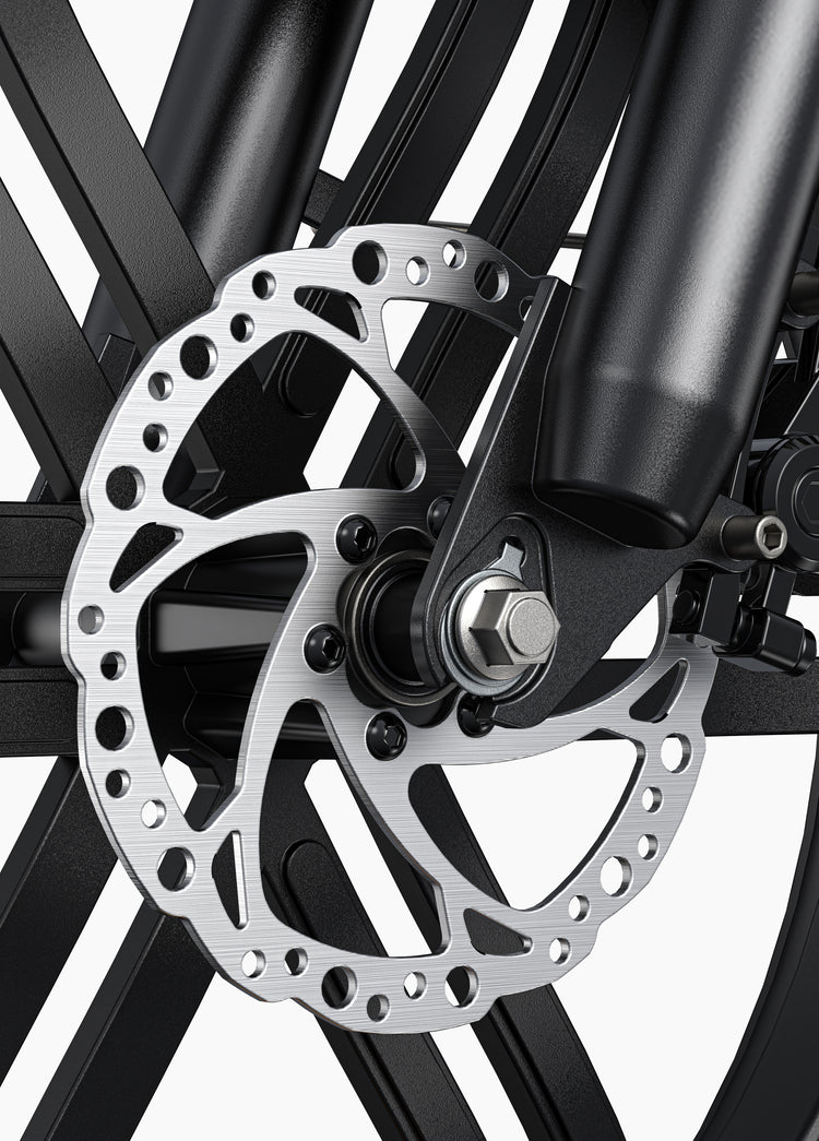 Engwe L20 Boost E-Bike