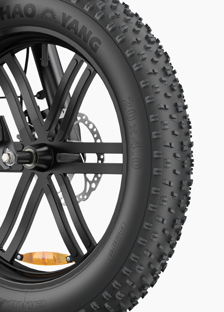 Engwe L20 Boost E-Bike