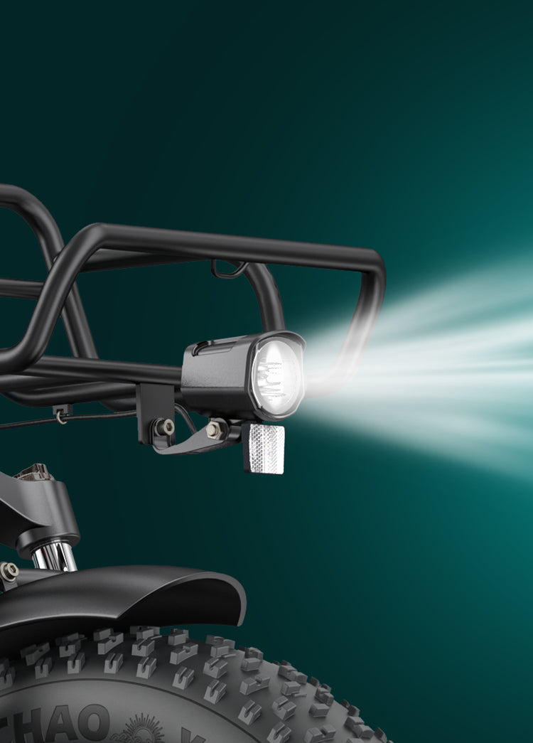 Engwe L20 Boost E-Bike