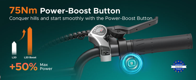 Engwe L20 Boost E-Bike