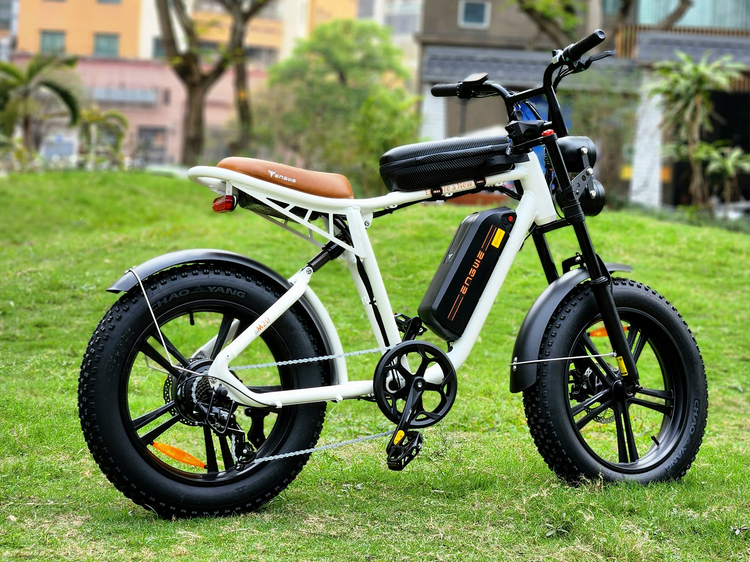 Engwe M20 Electric Bike