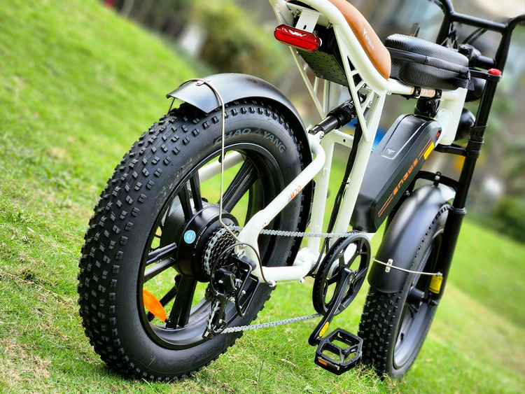 Engwe M20 Electric Bike