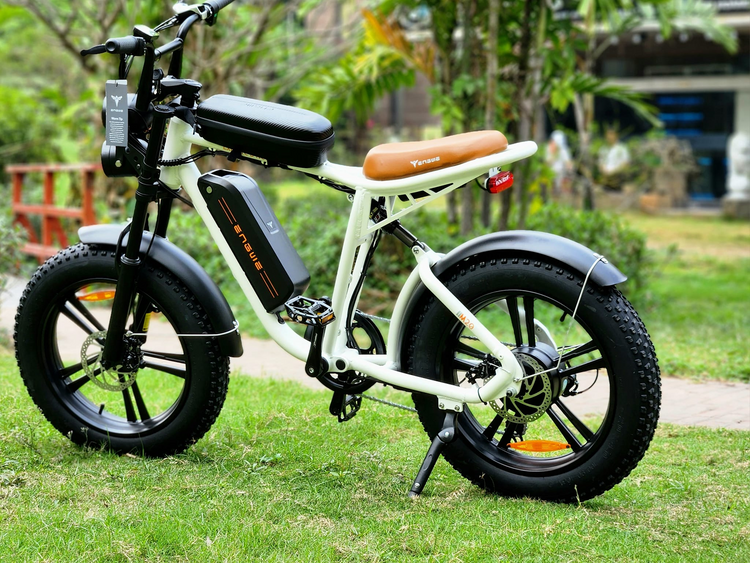 Engwe M20 Electric Bike