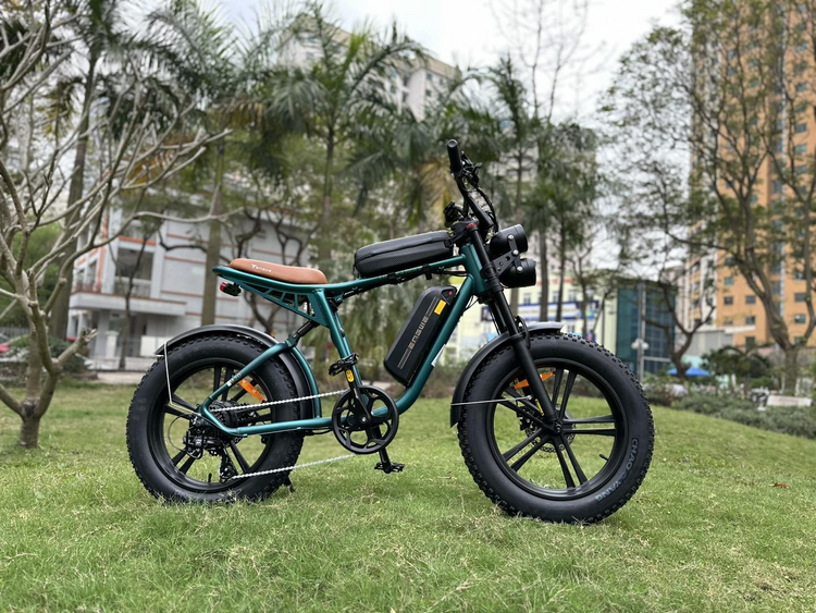 Engwe M20 Electric Bike
