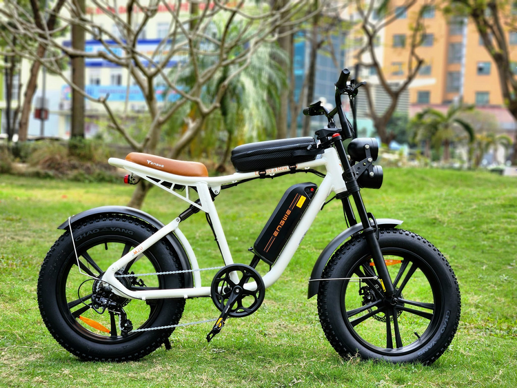 Engwe M20 Electric Bike