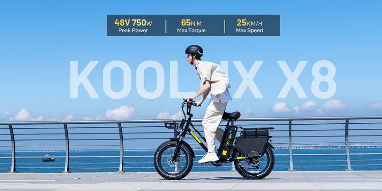 Koolux X8 48V Cargo Bike