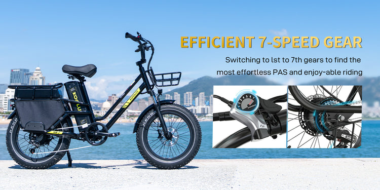Koolux X8 48V Cargo Bike