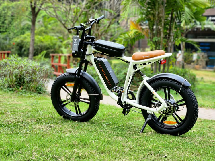 Engwe M20 Electric Bike