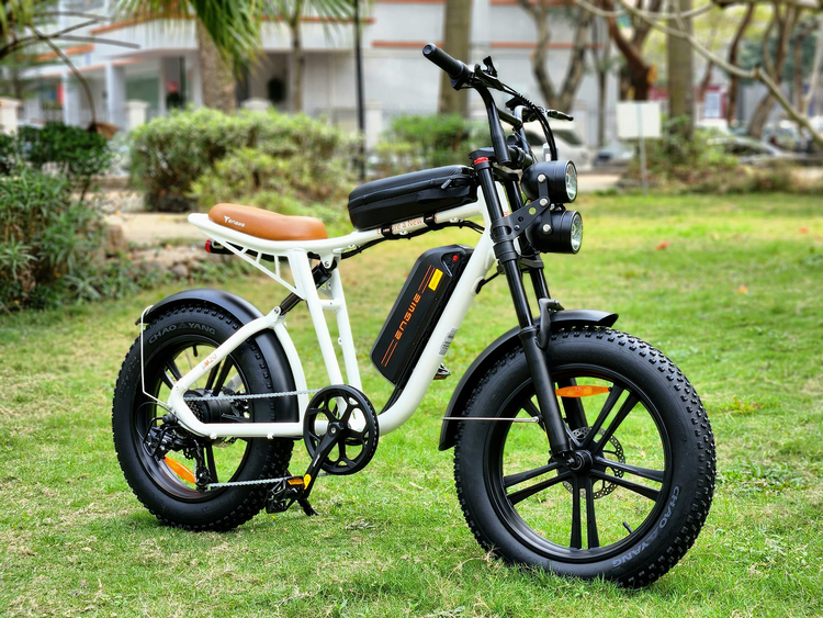 Engwe M20 Electric Bike