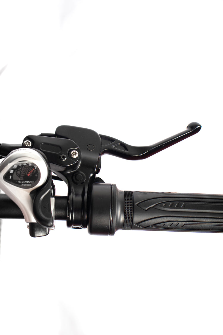 Chamrider DM427 Electric Bike