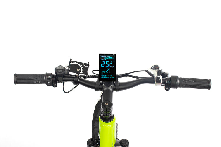 Chamrider DM427 Electric Bike