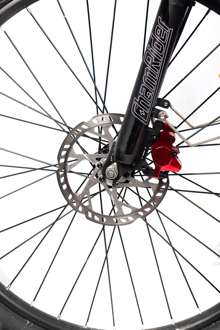 Chamrider DM427 Electric Bike