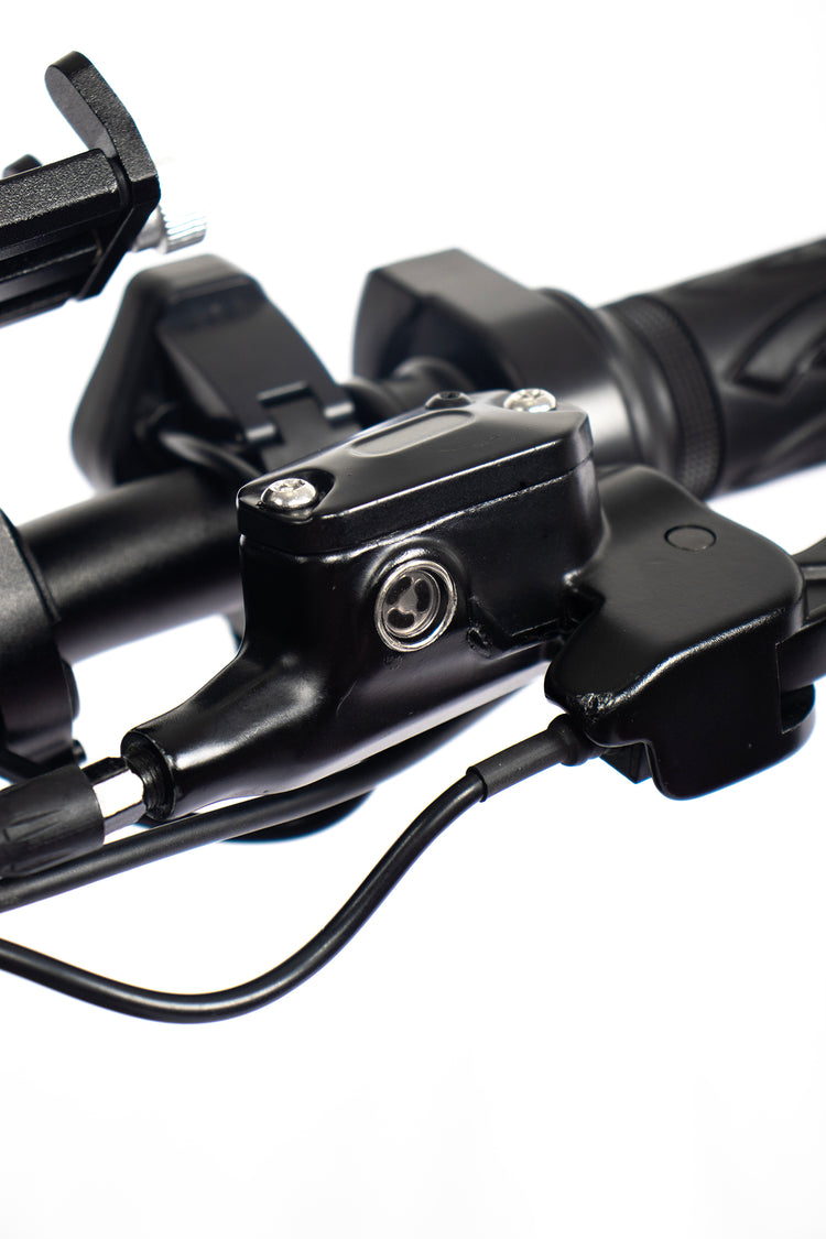 Chamrider DM427 Electric Bike