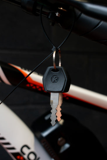 Carbon steel electric bike for adults
