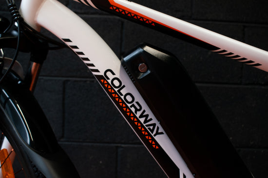 Low-impact exercise e-bike for seniors
