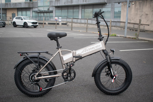 Ecorush 10S electric bike with 250W brushless motor and 20×4.0 fat tires