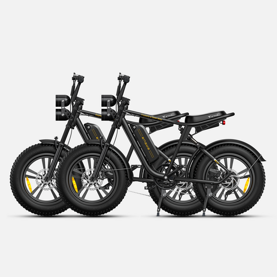 Engwe M20 dual-battery electric bike for long distance-75kmx2