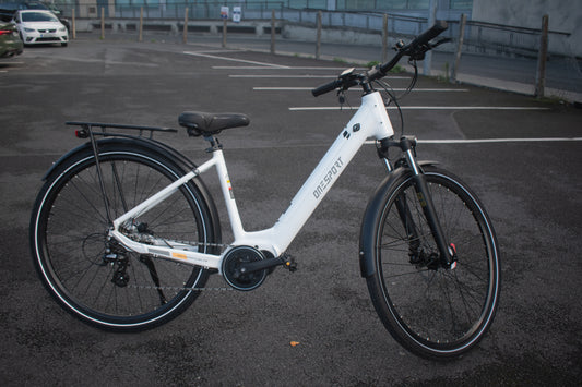 Aluminum alloy electric bike in Shell White & Matte Black with 250W motor and 36V battery
